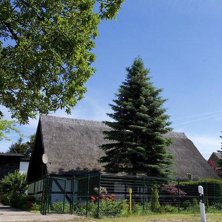 Ahlbeck  Welcoming Holiday Home In Gegensee Near Szczecin Lagoon מראה חיצוני תמונה
